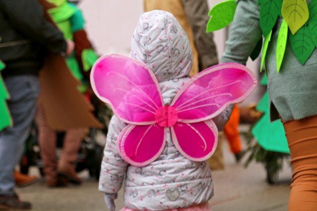 Faschingsumzug 2023 (Fotos Rochus Hetzendorfer)
